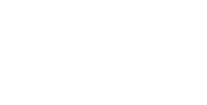 lijn2